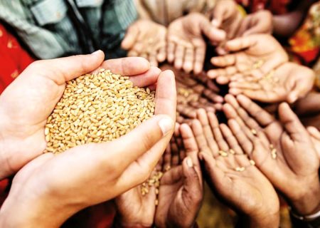 امنیت غذایی کشور با کشاورزی دانش‌بنیان تحقق می‌یابد