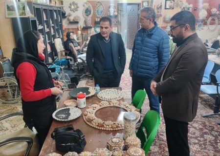 بهزیستی ظرفیت ویژه‌ای برای کارآموزان صنایع‌دستی کرمانشاه فراهم کرده است