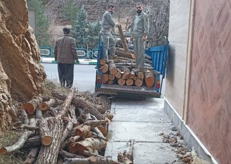 متخلف قطع درختان بوزین و مرخیل دستگیر شد