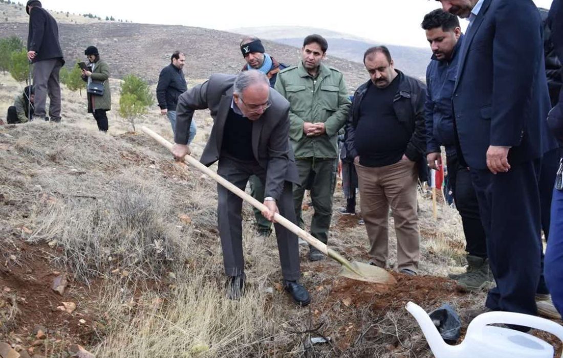 کاشت ۲۵۰۰ نهال در پویش سراسری درختکاری به نام پدر در استان کرمانشاه