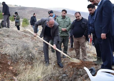 کاشت ۲۵۰۰ نهال در پویش سراسری درختکاری به نام پدر در استان کرمانشاه