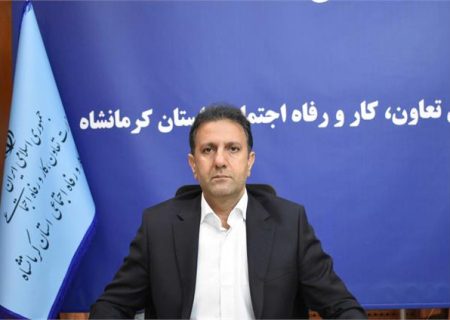 ایجاد۹۶۷ فرصت شغلی از محل پرداخت تسهیلات مشاغل خانگی در استان کرمانشاه