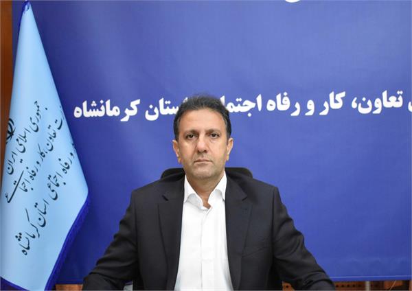 ایجاد۹۶۷ فرصت شغلی از محل پرداخت تسهیلات مشاغل خانگی در استان کرمانشاه