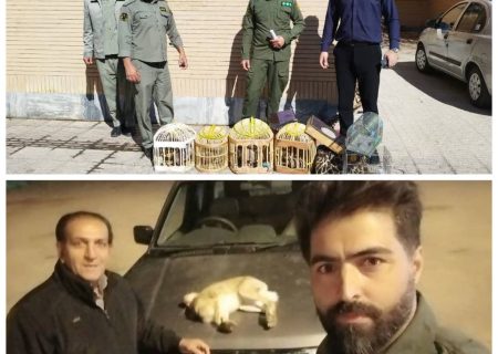 دستگیری متخلفین شکار و صید در شهرستان اسلام آباد غرب