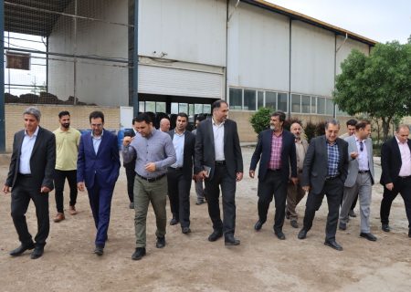 با ارائه تسهیلات گمرکی دسترسی تولیدکنندگان به مواد اولیه وارداتی آسان می شود 