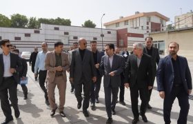 گمرک، نبض اقتصاد کشور در شرایط فعلی است