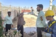 جمع آوری 640 مورد انشعاب غیرمجاز در برق مرکز کرمانشاه