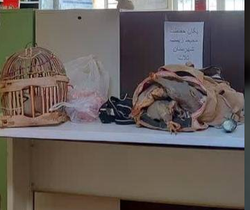 زمین گیر شدن شکارچیان متخلف در تله‌تو ثلاث باباجانی