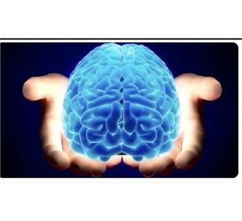 زمان طلایی برای نجات از “سکته”