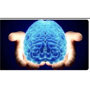 زمان طلایی برای نجات از “سکته”