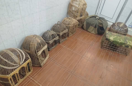 همیاران محیط زیست پاوه، راز نگهداری غیرمجاز کبکهای وحشی را فاش کردند