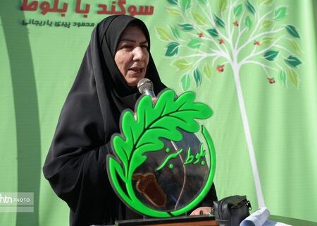 توسعه پایدار گردشگری سر فیروزآباد کرمانشاه با حفاظت از بلوط‌های زاگرس امکان‌پذیر است