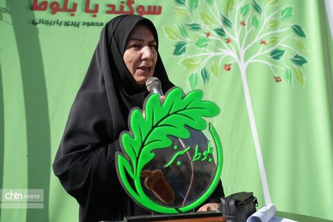 توسعه پایدار گردشگری سر فیروزآباد کرمانشاه با حفاظت از بلوطهای زاگرس امکانپذیر است