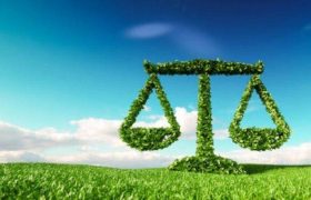 عدالت سبز؛ جایگزینی حبس با خدمت به طبیعت در کرمانشاه