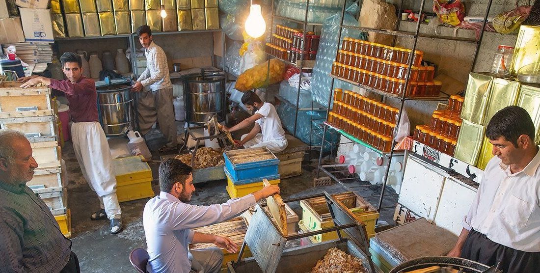 ثبت بیش از ۱۳ هزار فرصت شغلی در سامانه ملی رصد