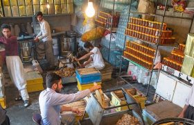 ثبت بیش از ۱۳ هزار فرصت شغلی در سامانه ملی رصد