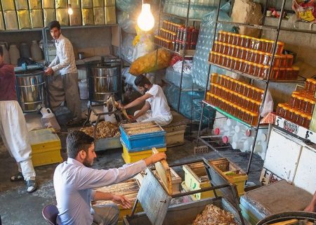 ثبت بیش از ۱۳ هزار فرصت شغلی در سامانه ملی رصد