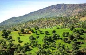 رویداد «سوگند با بلوط» کرمانشاه در فهرست رویدادهای گردشگری کشور ثبت شد