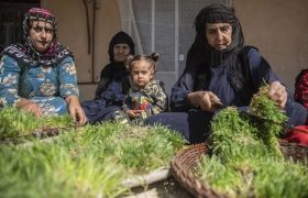 جشنواره سمنوپزان صحنه در فهرست رویدادهای گردشگری کشور ثبت شد