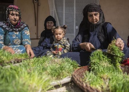 جشنواره سمنوپزان صحنه در فهرست رویدادهای گردشگری کشور ثبت شد