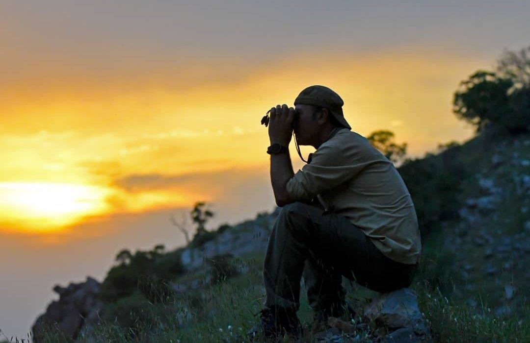 نتایج اولیه از وضعیت مطلوب جمعیت وحوش خبر میدهد