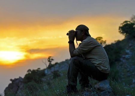 نتایج اولیه از وضعیت مطلوب جمعیت وحوش خبر می‌دهد