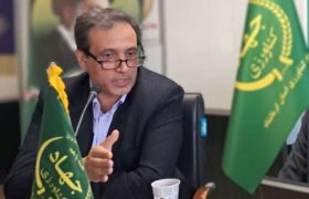 رشد ۲۷ درصدی جوجه‌ریزی در کرمانشاه، نشانه‌ای از پایداری تولید مرغ در استان