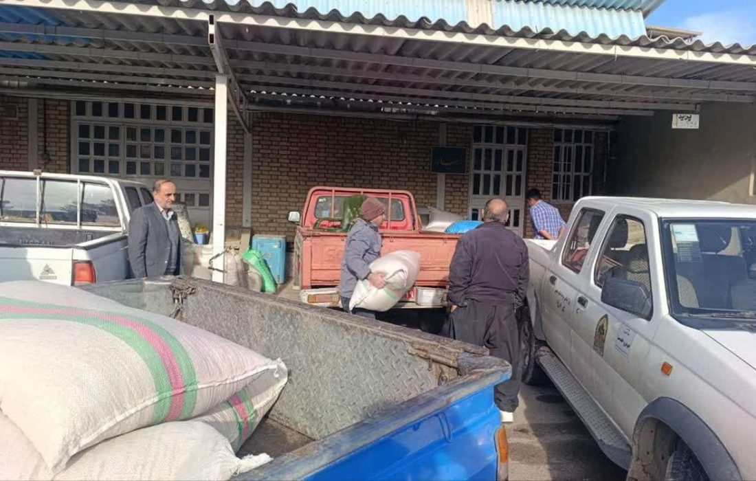 عملیات توزیع بذرهای بومی و مقاوم در استان کرمانشاه آغاز شد