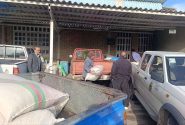 عملیات توزیع بذرهای بومی و مقاوم در استان کرمانشاه آغاز شد
