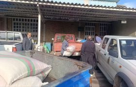 عملیات توزیع بذرهای بومی و مقاوم در استان کرمانشاه آغاز شد