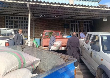 عملیات توزیع بذرهای بومی و مقاوم در استان کرمانشاه آغاز شد