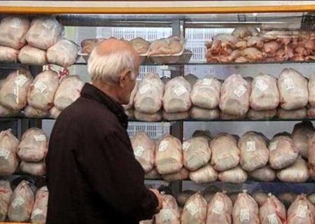 بازار مرغ در کرمانشاه به ثبات رسیده است