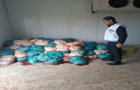 کشف و امحای بیش از ۳ تن آلایش دامی غیرمجاز