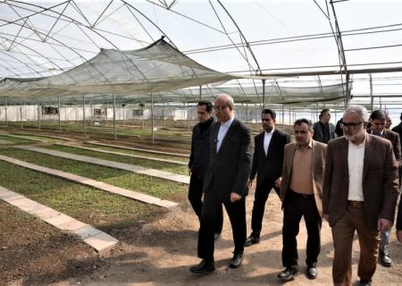 کاهش هزینه‌های شهر با فعال‌سازی ظرفیت‌های راکد شهرداری و حذف رانت‌ها