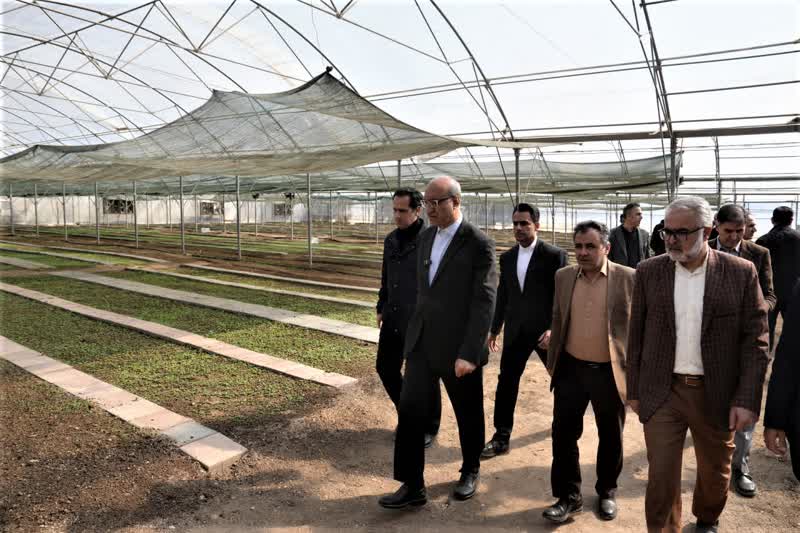 کاهش هزینه‌های شهر با فعال‌سازی ظرفیت‌های راکد شهرداری و حذف رانت‌ها