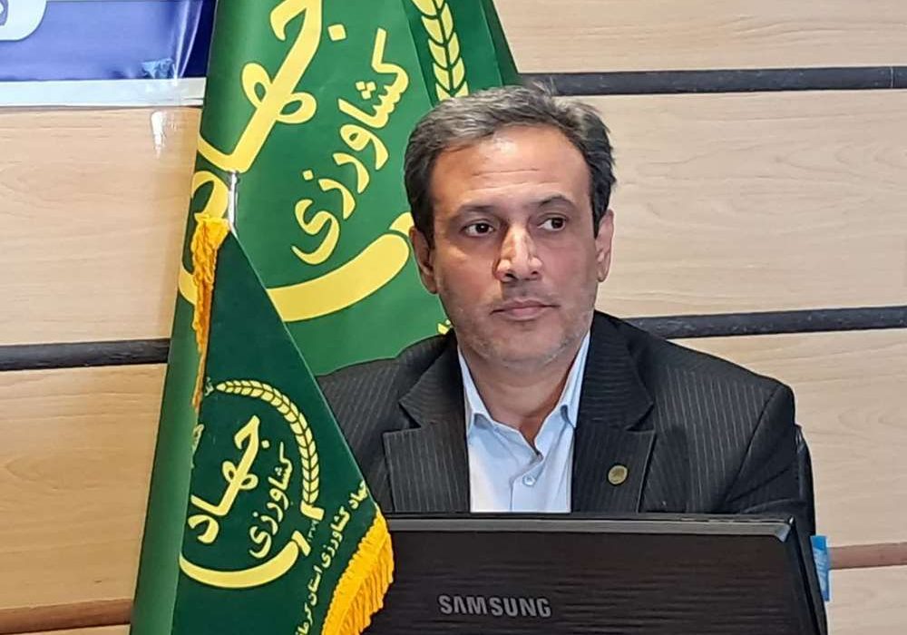 تولید مرغ استان در وضعیت مطلوب است