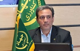 تولید مرغ استان در وضعیت مطلوب است