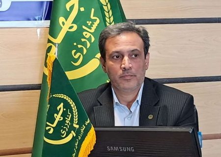 تولید مرغ استان در وضعیت مطلوب است