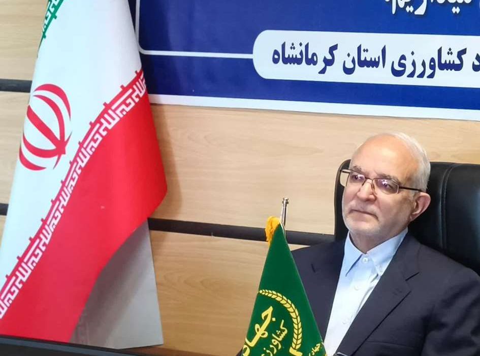 لزوم تغییرنگرش کشاورزان دیم کار نسبت به تولید در مزارع دیم