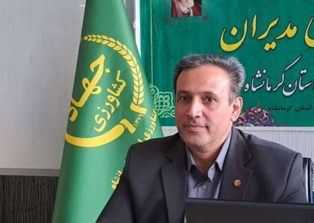 عرضه بیش از هزار تن مرغ پیش تولید در قالب تولید قراردادی در کرمانشاه