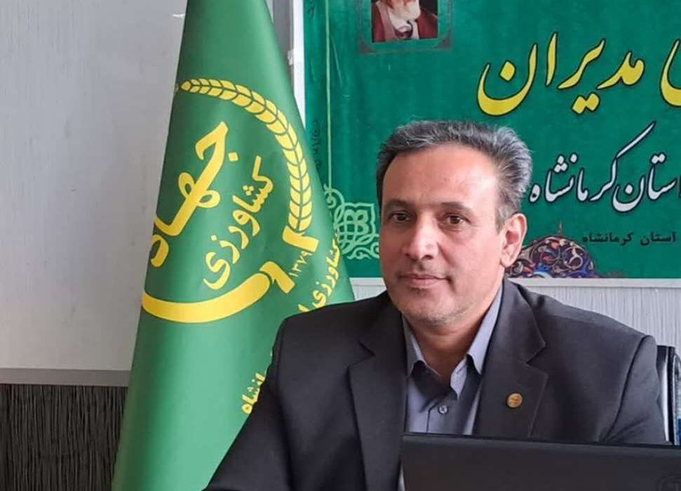 عرضه بیش از هزار تن مرغ پیش تولید در قالب تولید قراردادی در کرمانشاه