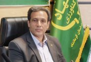 شروع برداشت کلزا در کرمانشاه/پیش‌بینی تولید ۹۰۰۰ تن از ۴۸۰۰ هکتار