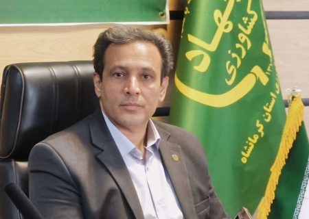 شروع برداشت کلزا در کرمانشاه/پیش‌بینی تولید ۹۰۰۰ تن از ۴۸۰۰ هکتار
