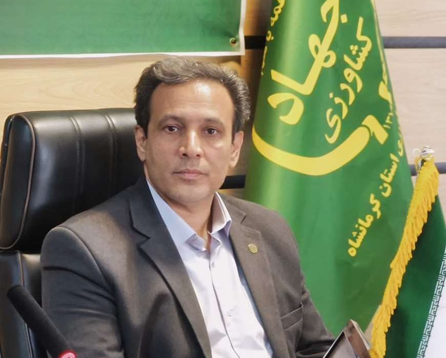 شروع برداشت کلزا در کرمانشاه/پیشبینی تولید ۹۰۰۰ تن از ۴۸۰۰ هکتار