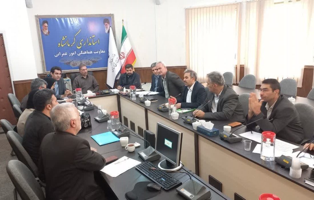 تسهیلات اشتغال روستایی باید با شتاب بیشتری پرداخت شود