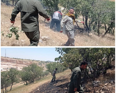 حریق در مناطق آزاد قبل از گسترش مهار شد
