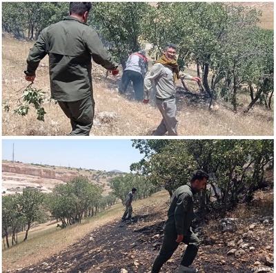 حریق در مناطق آزاد قبل از گسترش مهار شد