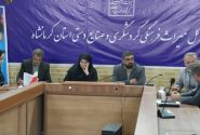 ۹۶۴ طرح گردشگری و صنایع‌دستی کرمانشاه تسهیلات دریافت کرده‌اند