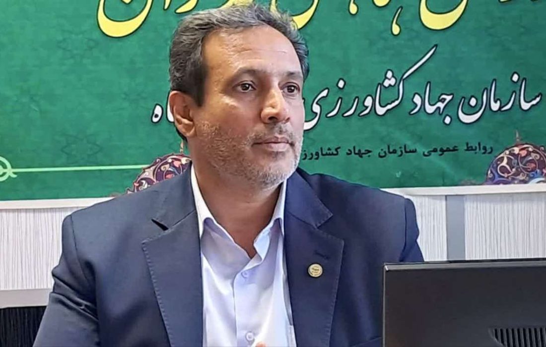 کشت ۲ هزار و ۵۰۰ هکتار سیب‌زمینی در استان کرمانشاه
