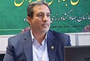 کشت ۲ هزار و ۵۰۰ هکتار سیب‌زمینی در استان کرمانشاه